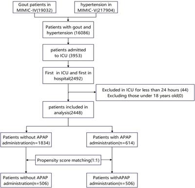 Association between acetaminophen administration and outcomes in critically ill patients with gout and hypertension